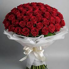 Букет 101 Красная роза Блэк Мэджик в Угловском