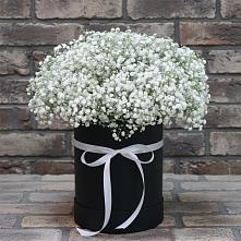 Цветочная композиция из Гипсофила в шляпной коробке #REPLACE_PRED# Угловском