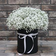 Цветочная композиция из Гипсофила в шляпной коробке в Угловском